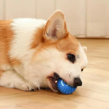 JollyPaws™ Interactive Ball