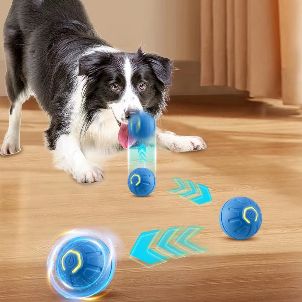 JollyPaws™ Interactive Ball