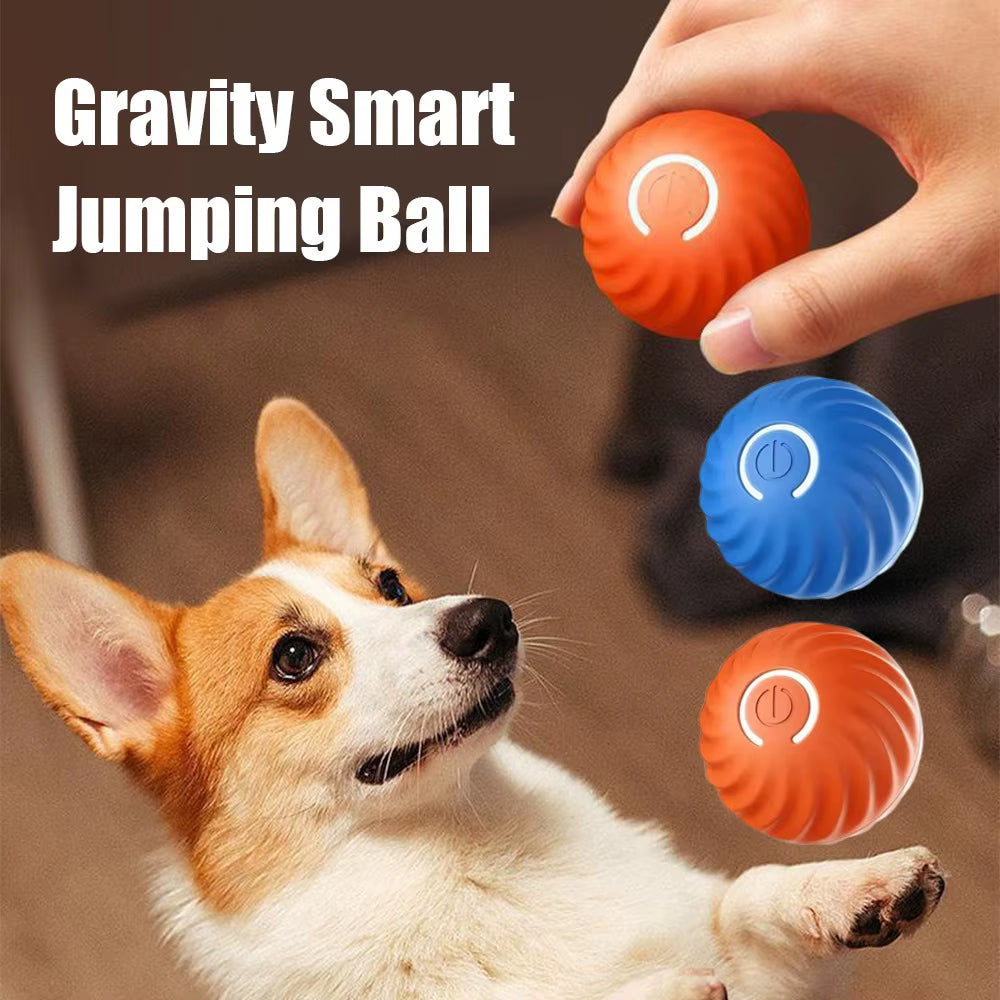 JollyPaws™ Interactive Ball